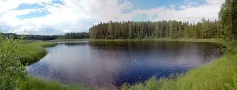 Исчезающее Шимозеро в Вологодской области